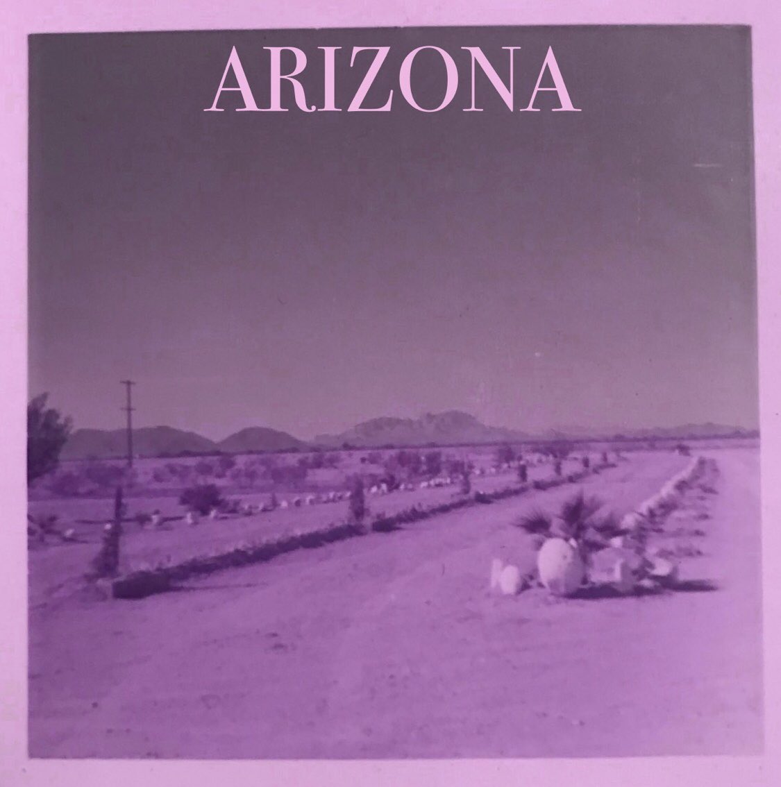 tthouftturtle's tweet photo. Ladies and Gentlemen, we give you our brand new single, “Arizona” click this link below to give it a listen. P.s.  be sure to put on your dancing shoes :) https://t.co/KgeXMT9X78 https://t.co/rCZcNzLKzn