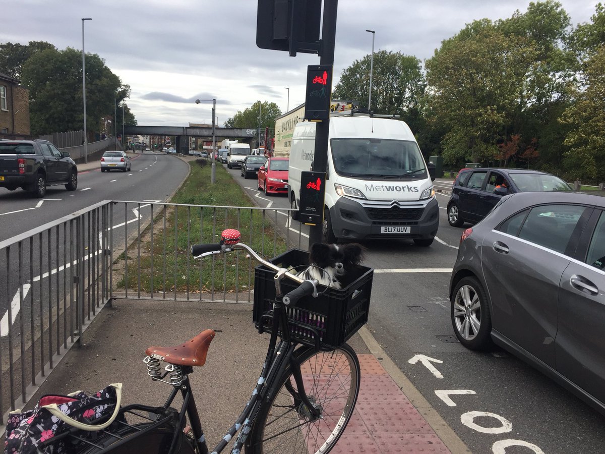 Meet the 11th #HealthyStreets indicator: my dog Luna. 

Here she is, trembling with fear, surrounded by traffic halfway across the A406. We had to wait here for at least two minutes. This is the proposed route for so-called Quietway 10 and the way to school for many 😢😷