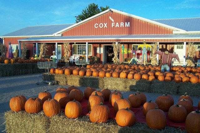 CommuniKids tweet media