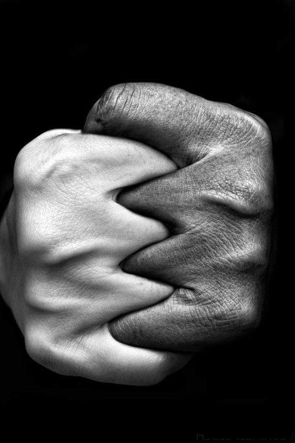 nikkupikku's tweet photo. “Strength lies in differences, not in similarities”

 - Stephen R. Covey https://t.co/rDIXDnSU9M