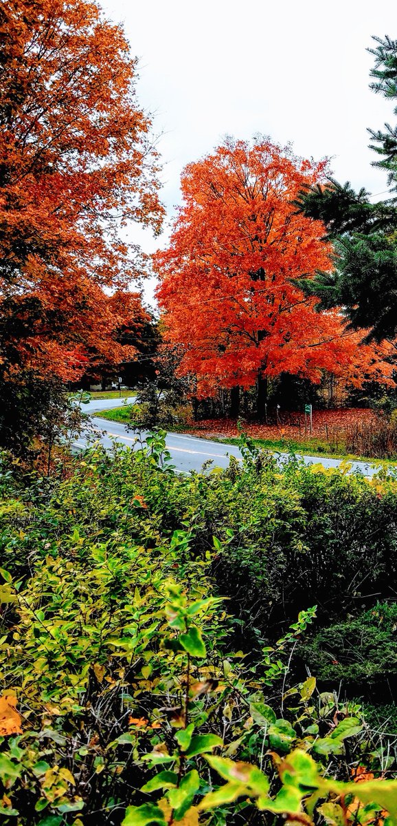 SETDA's tweet image. A busy week traveling through NH &amp;amp; NY at #NHSummit18 and #OpenEd18.  Inspired by the people, places and ideas we encountered all along the way! Thank you #digitalequity #digitallearning #fallconferences