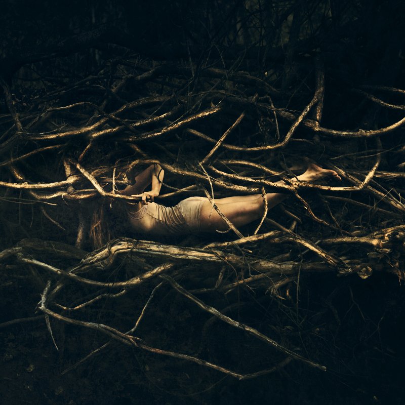 Brooke Shaden tweet media