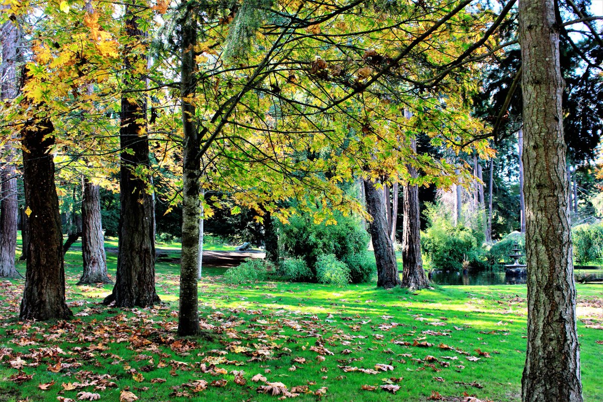 The weekend is here. Get out and soak it up! #yyj #VictoriaBC #BeaconHillPark