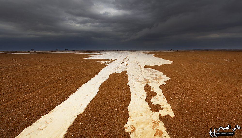 هاني الصبحي 📸 tweet media