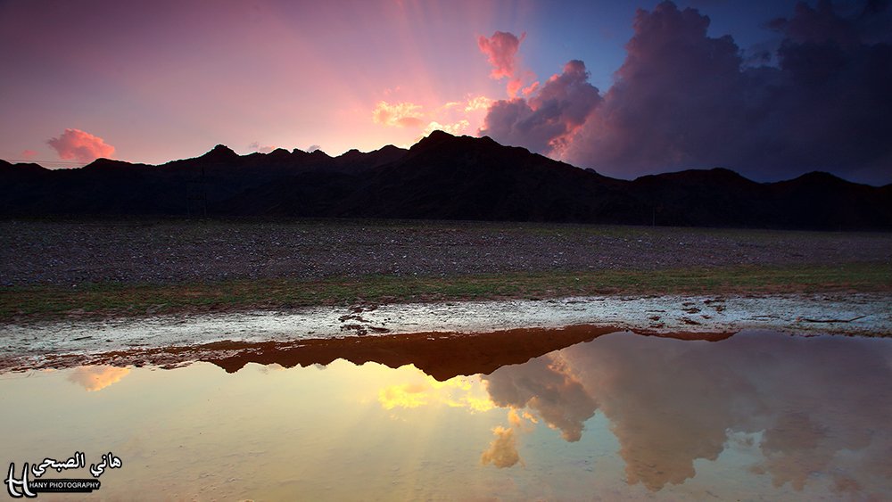 هاني الصبحي 📸 tweet media