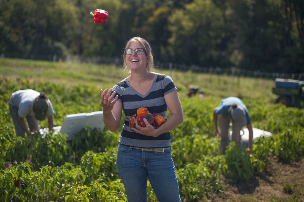 USDAFoodSafety's tweet photo. Did you know 911 million acres in the U.S. are dedicated to farm land? Thank you to all the farmers that keep our food system strong! Support your local farmer by shopping at a farmers market this week! #NationalFarmersDay https://t.co/gcMe2gnRPf