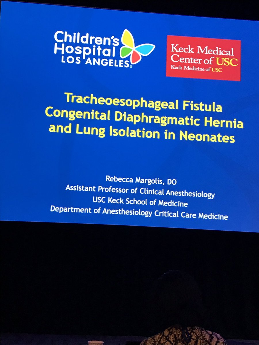 BrandenEngorn's tweet photo. .@RebeccaMargolis @ChildrensLA #PedsAnes discussing TEF, CDH, and lung isolation in neonates #SPAFALL2018 https://t.co/vfdQ5pSTMi
