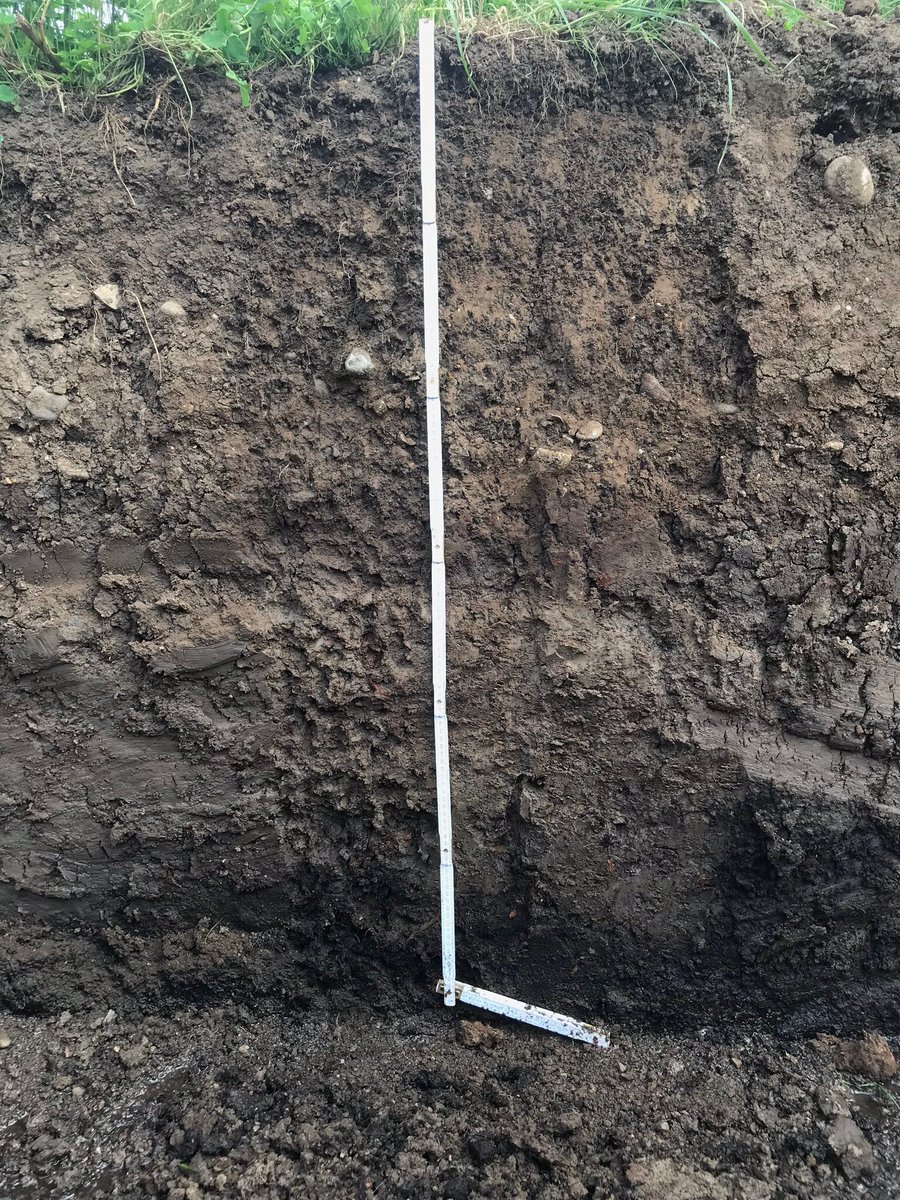 SoilScienceCH's tweet image. Training for #soil experts! #Soilprotection on construction sites: an important issue to ensure #soilfertility for #recultivation.