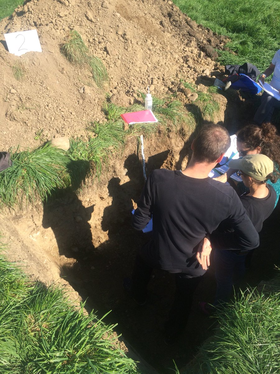 SoilScienceCH's tweet image. Training for #soil experts! #Soilprotection on construction sites: an important issue to ensure #soilfertility for #recultivation.