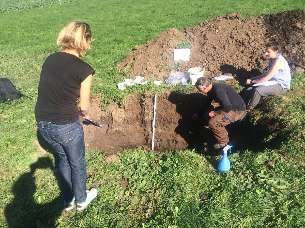 SoilScienceCH's tweet image. Training for #soil experts! #Soilprotection on construction sites: an important issue to ensure #soilfertility for #recultivation.