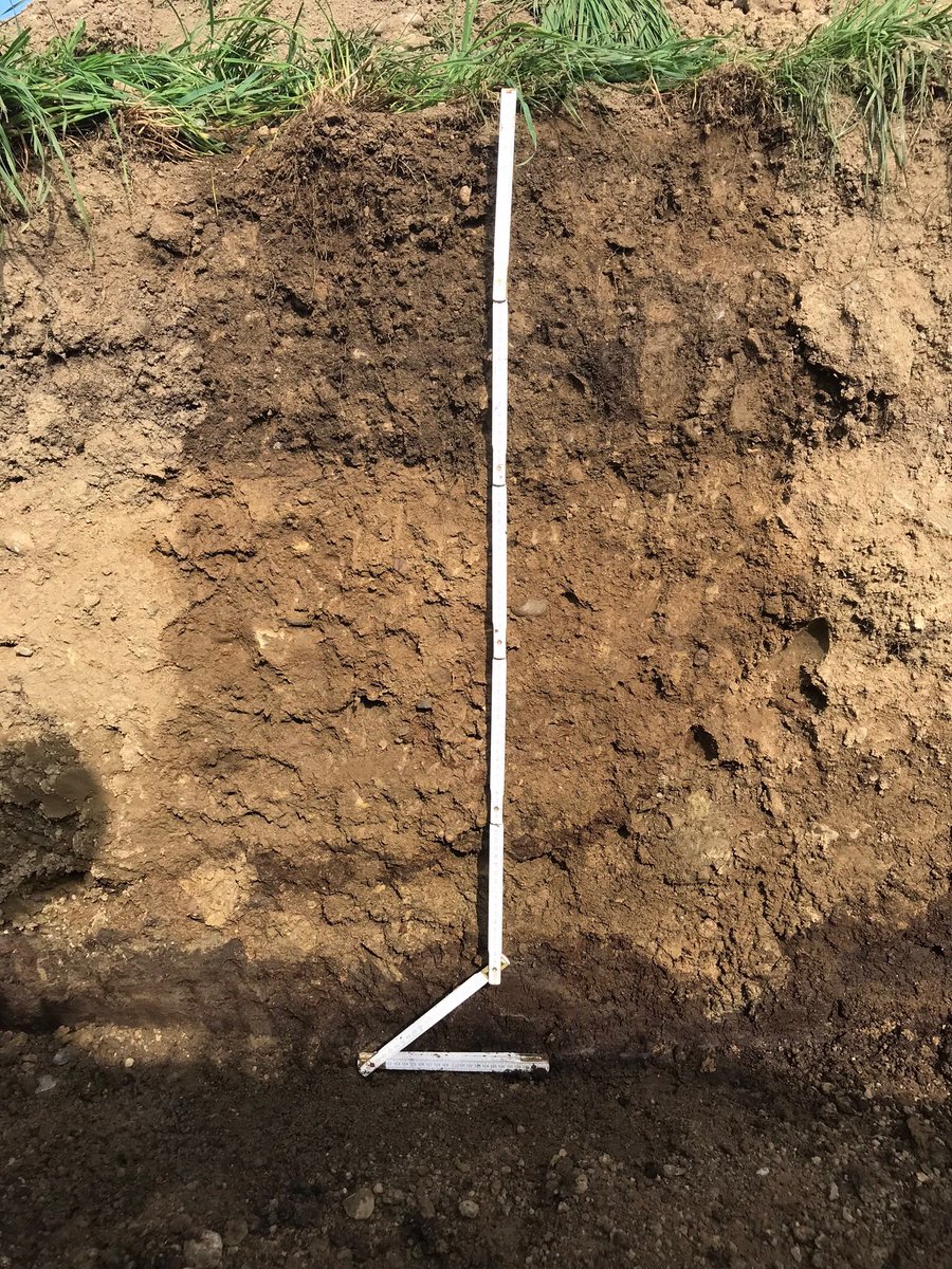 SoilScienceCH's tweet image. Training for #soil experts! #Soilprotection on construction sites: an important issue to ensure #soilfertility for #recultivation.