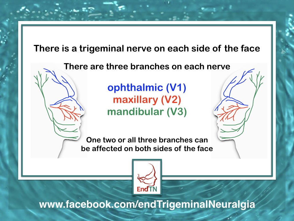 EndTrigeminalNeuralgia tweet media