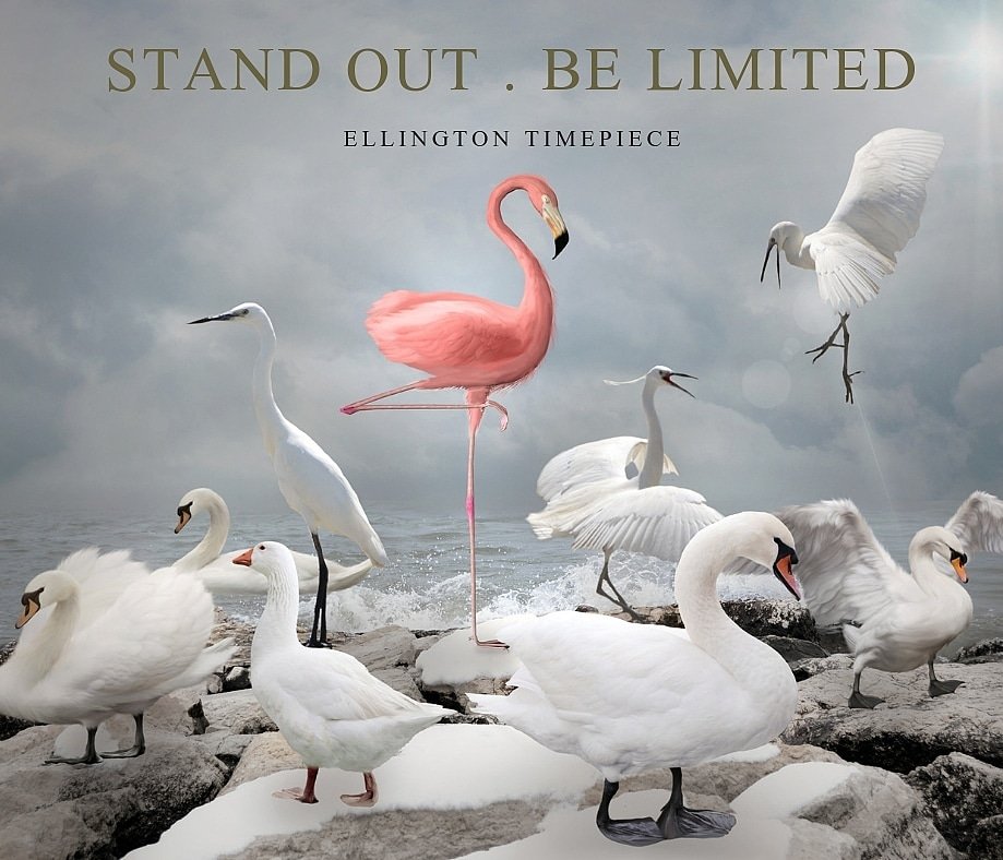 Stand out with the limited edition Sheba Collection. 

Hurry while stocks last. 

ellingtontimepiece.com 
#limitededition #flamingo  #fashion