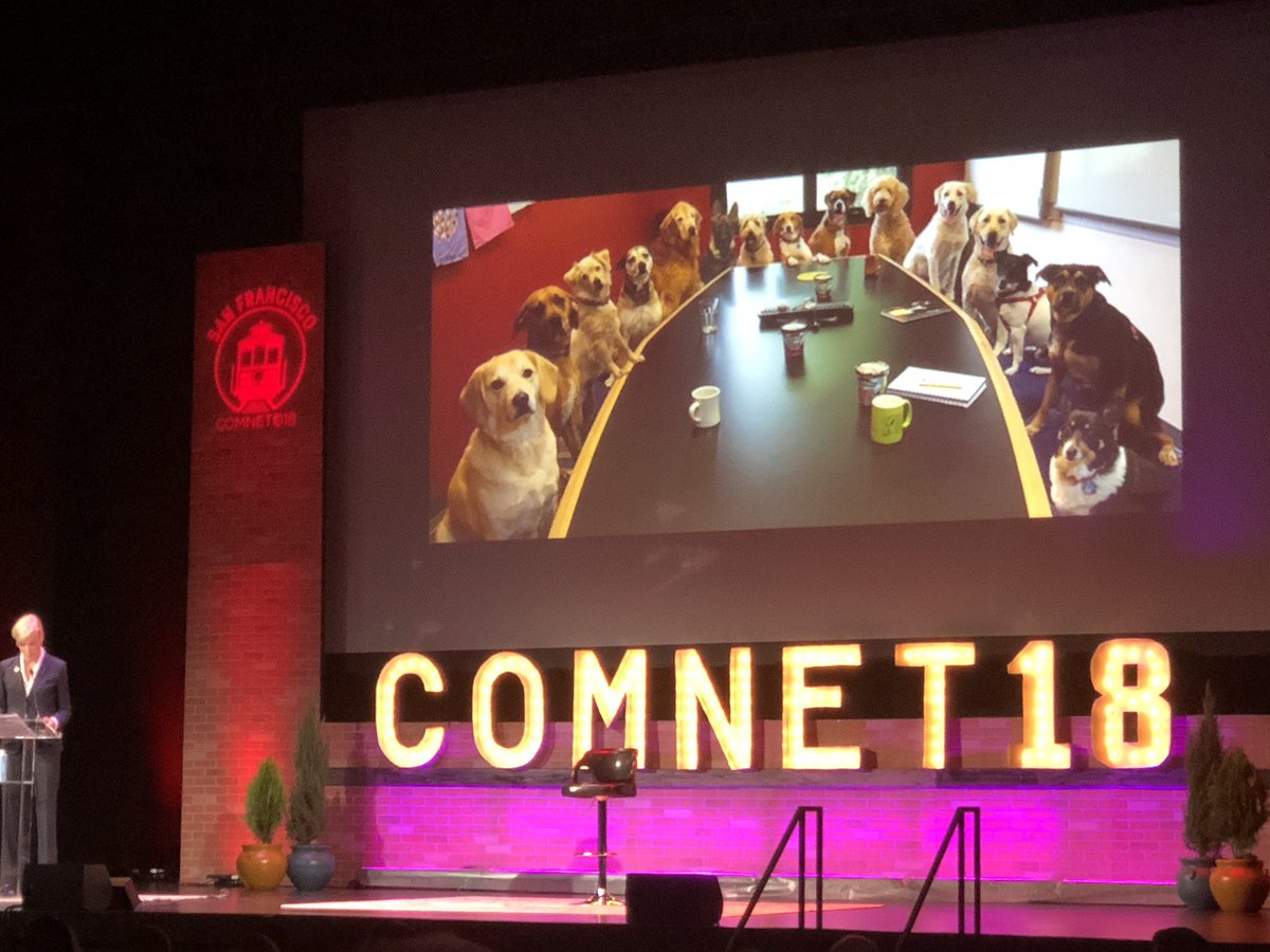 hc_clancy's tweet image. One my favorite memes, too, @CecileRichards. Dogs discussing feline health care. #ComNet18