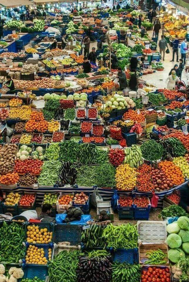 bhavjgd5's tweet photo. When people ask what vegetarian eats..picture is the answer. https://t.co/QqZ3q0R6x7