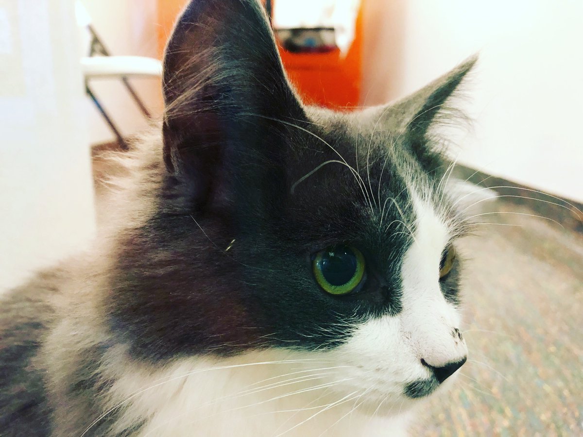 Winnipeg Daily News tweet media