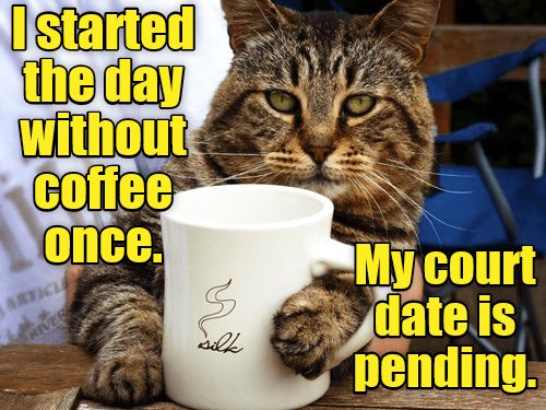 FURIDAY FUZZBALL FUNNIES twitchytwilightreloaded.wordpress.com/2018/10/12/fur…
