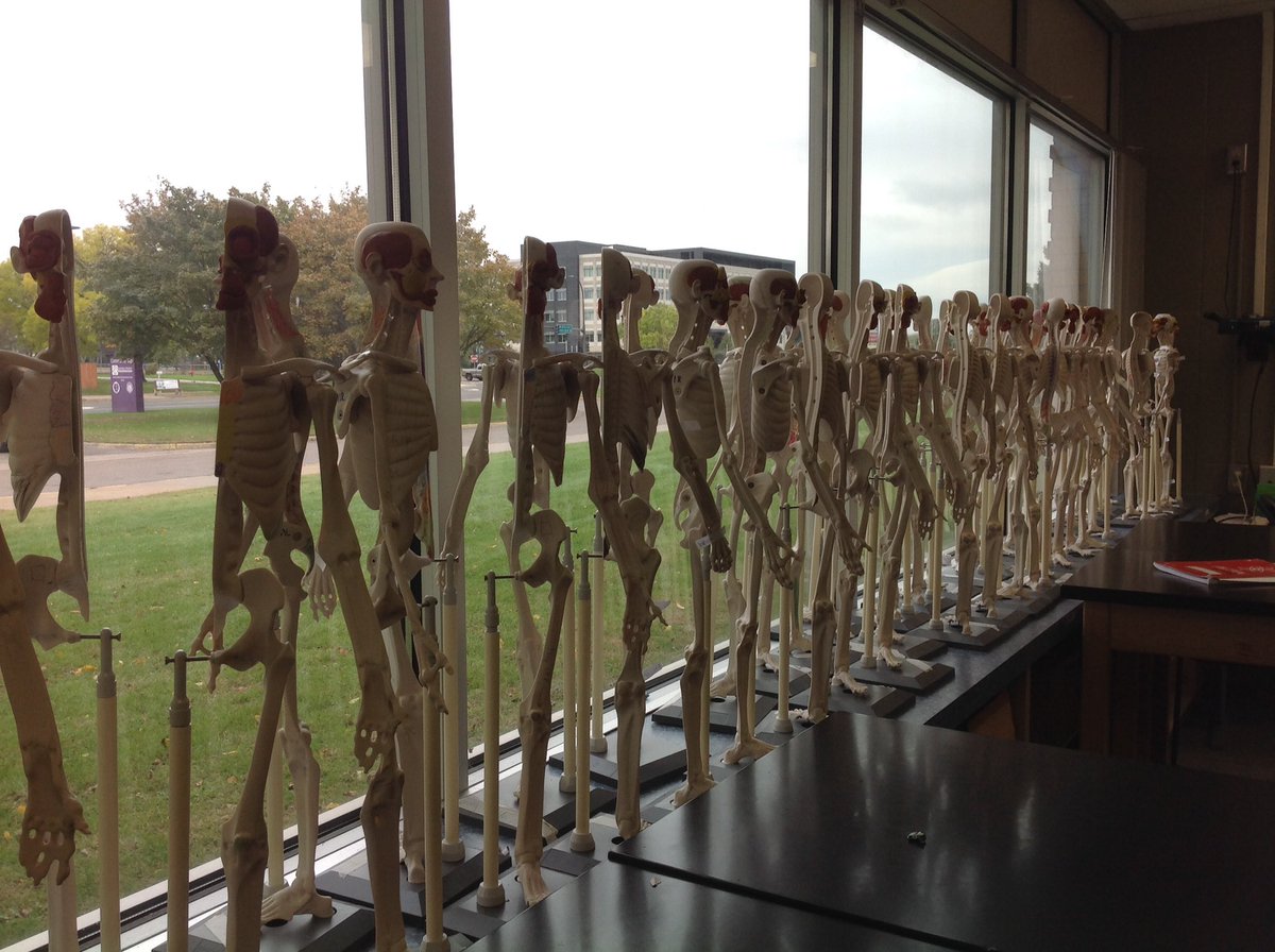 bcspltw's tweet photo. Human body systems is up and running. #pltw https://t.co/lPsB9VFZXH