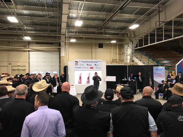 CJFeeds's tweet photo. Country Junction Feeds team enjoyed participating in the Alberta Livestock Expo. Congrats to everyone involved on a great event! #ALE18 https://t.co/3hFqTlVCvl