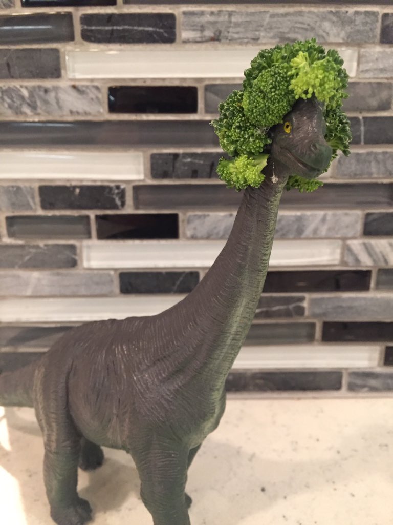 pantrytv's tweet photo. Behold, the brocollosaurus! Stylish as ever. Jurassic Pantry part 2 coming soon!
#veggiesaurus #playwithyourfood https://t.co/BKw9QYDxga