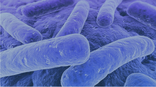 #AntimicrobialResistance is projected to kill more people than #cancer by 2050. Still, many big #pharma companies are exiting the antibiotic #DrugDevelopment field due to low margins. >> buff.ly/2EgTdzx