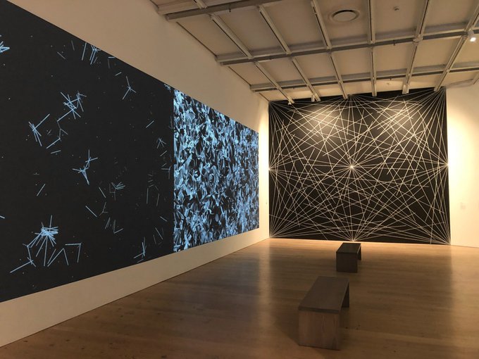 Software Structures" series involves writing algorithms that produce intricate, ever-evolving visual compositions.