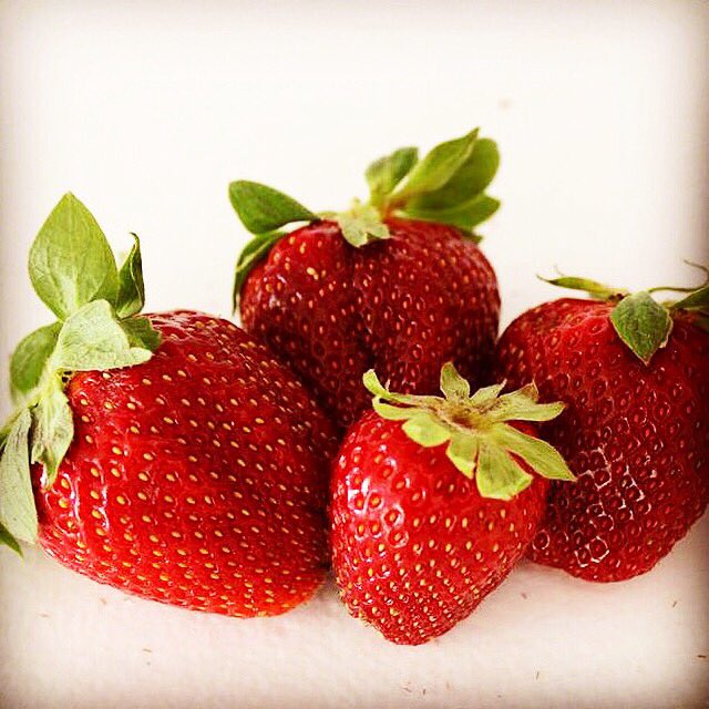 PeddlersIce's tweet photo. Fresh strawberry ice cream alert!!

#peddlerscreamery #strawberry🍓 https://t.co/AFTjPMqRog