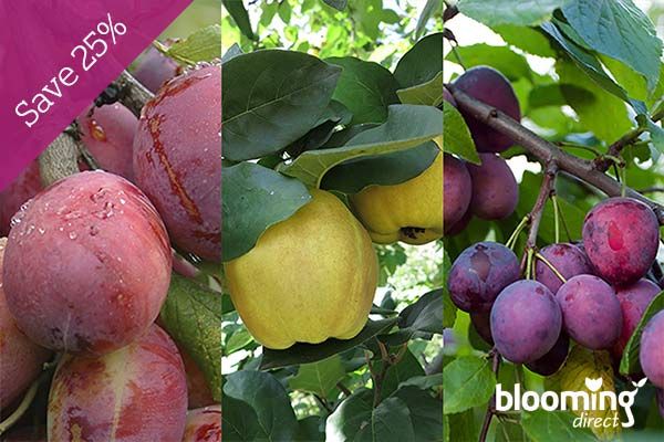 Prickly Pear Range - Budapestsightseeing.org