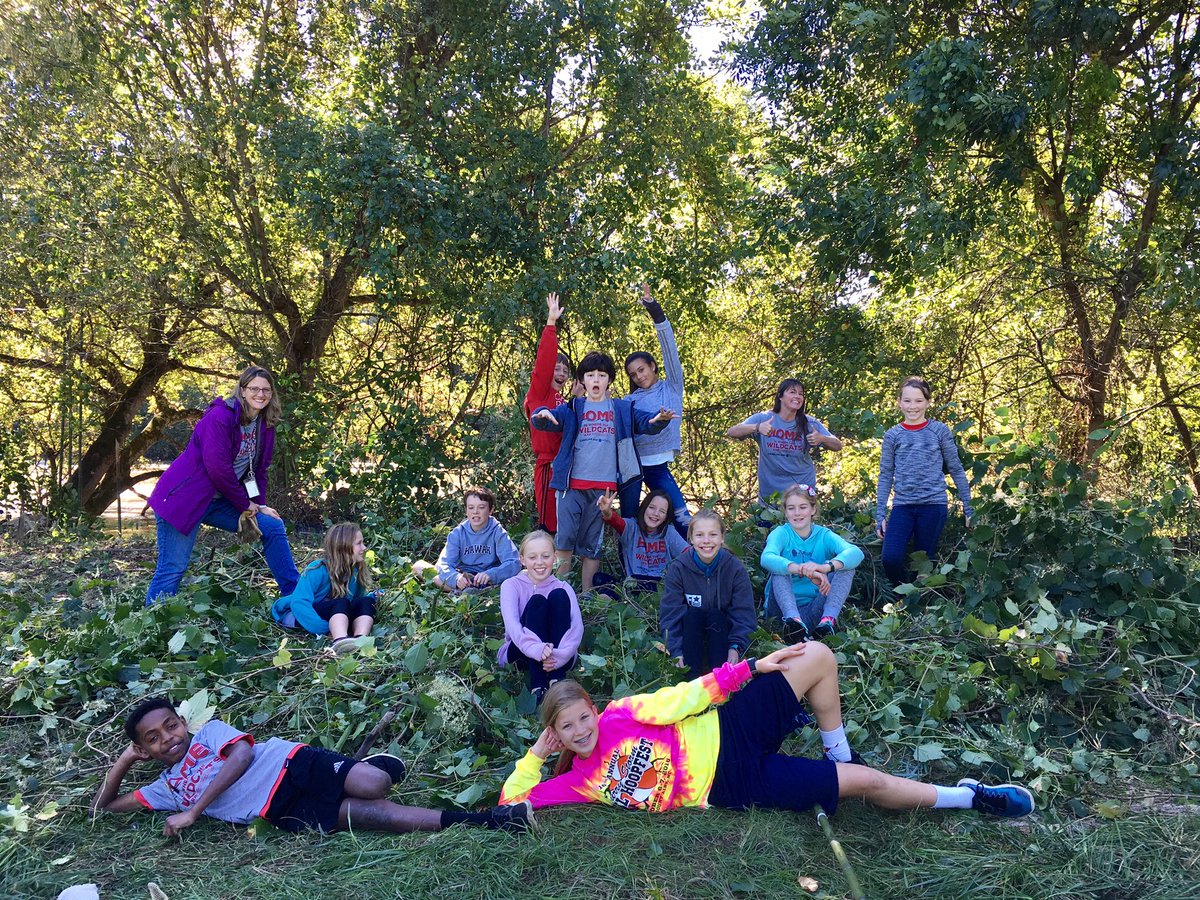 CGreeneCDS's tweet photo. 6th graders working with @RiverLink to remove invasive plants along the French Broad River.  @carolinaday #cdslearns https://t.co/PIKzlgZws0