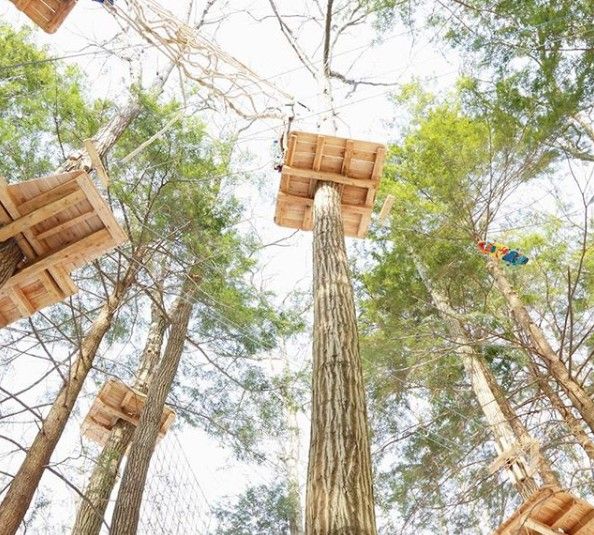 EdibleWC's tweet image. JUST DON'T LOOK DOWN. What a cool way to get lost right? Get up in the trees with our friends at @TreeMendousInc read about them in our #fallissue!  buff.ly/2NKKPwp