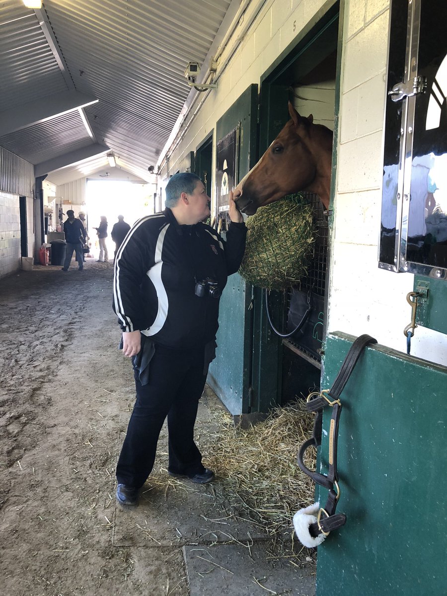 gofilly's tweet photo. What a wonderful morning with my pal @rogueclown we had lots of equine fun, snuggles, playtime and distributed many apples, carrots and mints!Thanks so much  @cdayphillips1 @Gatorkitten @TGattellaro @JosephDepaulo @melidar08 😊 #betwoodbinetb https://t.co/OcDCXkFx1Z