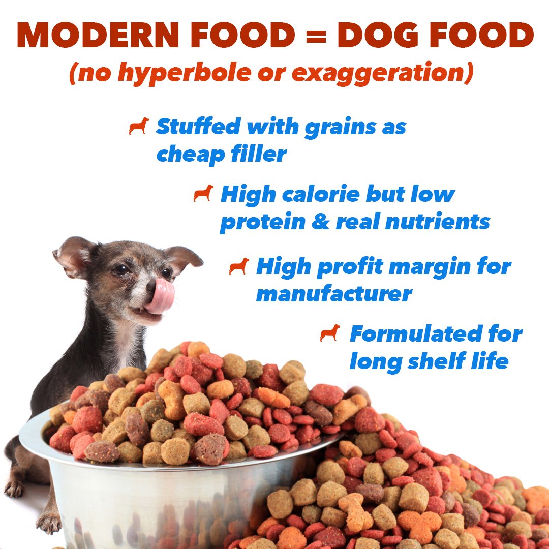 What Is The Profit Margin On Dog Food
