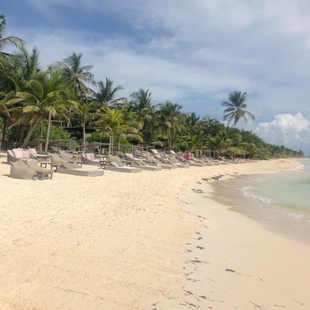 BeTulumHotel's tweet image. Meanwhile, in #Tulum...
.
#BeTulum #BoutiqueHotel #Be #BeUniverse #BeUnique⠀#Mexico