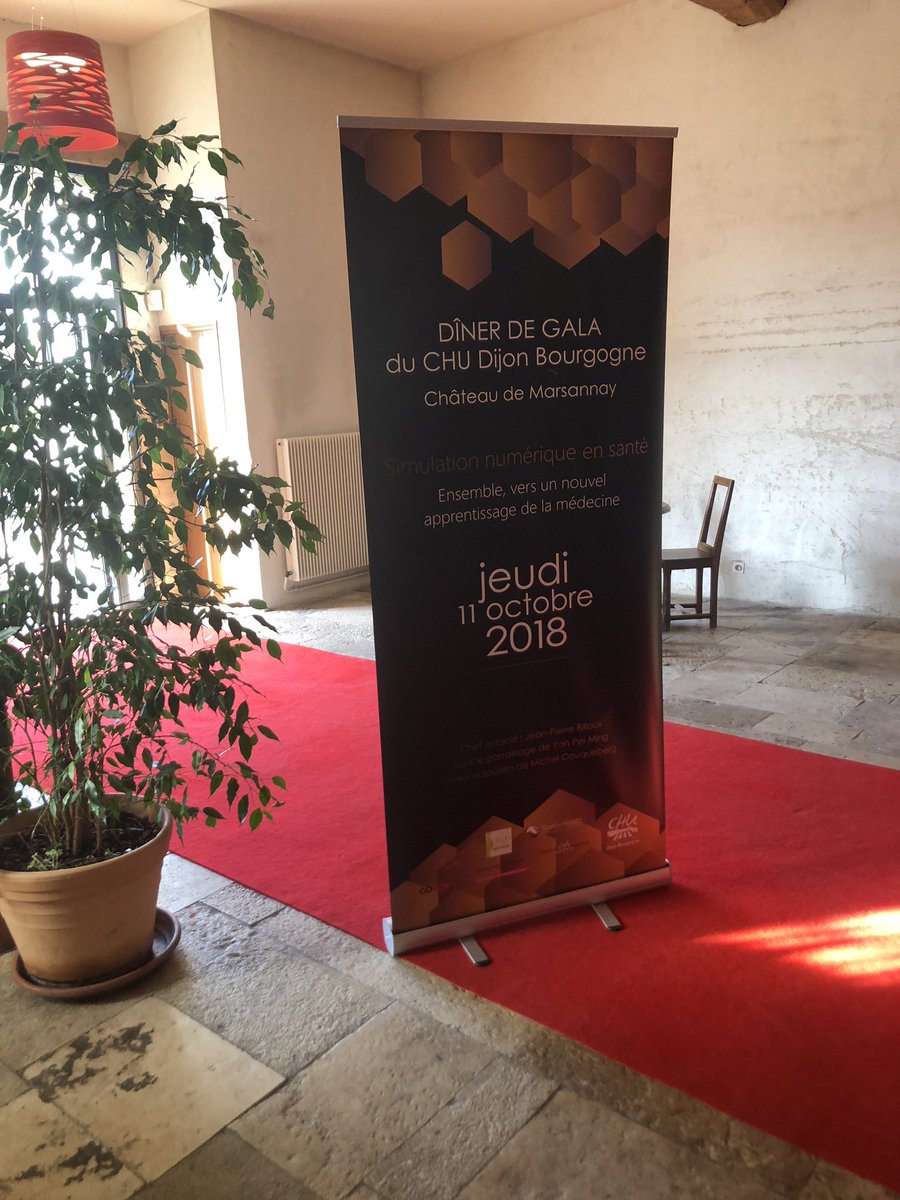 SebastienMirek's tweet image. 1ère édition du gala du @CHUDijon sur la #simulationNumerique en #Sante une vraie réussite! 
Vers un nouvel apprentissage de la #Medecine 🏥💻👨‍⚕️👩‍🔬
#JamaisLaPremiereFoisSurLePatient 
Merci aux convives, artistes et élus et aux partenaires présents @Twin_Medical &amp;amp; @SimforHealth