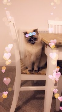 Посмотреть изображение в Твиттере