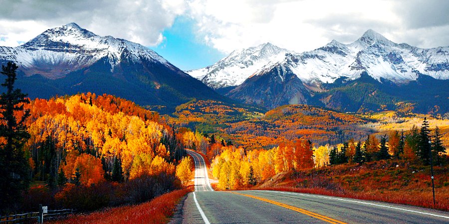 ColoProbs's tweet image. FALL-ORADO
❤🍁🧡🍂💛