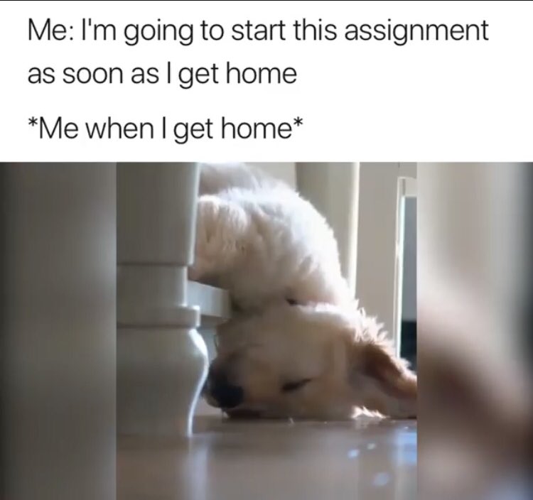 SCVbookexchange's tweet image. Every day of my college life 😝