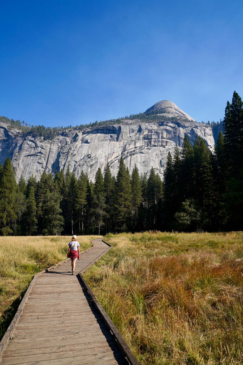 HetchHetchy's tweet photo. What would your ideal #HetchHetchyValley floor look like? #RestoreHetchHetchy https://t.co/U2Iht6T5p1