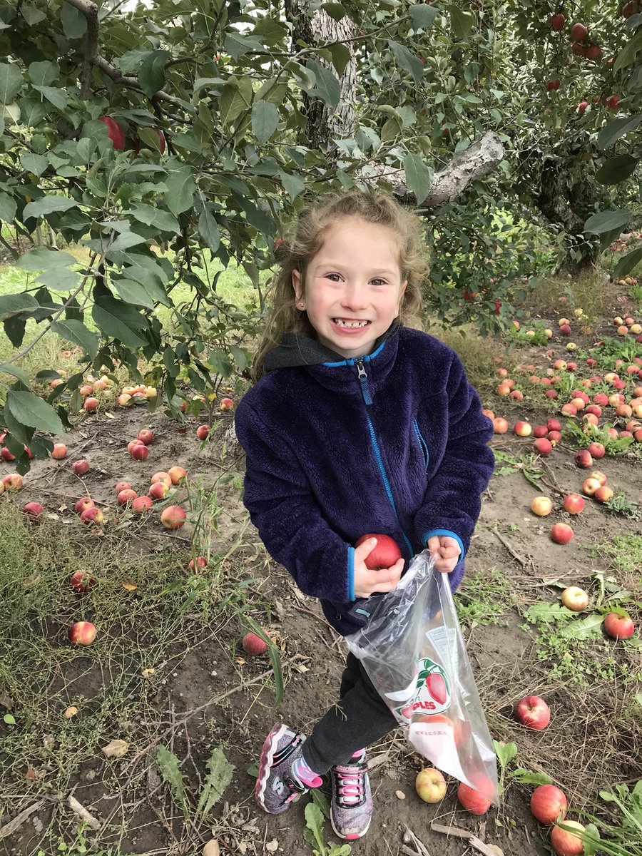 Ms_Hultgren's tweet photo. Even though it was chilly, our Kindergarten field trip to the Apple Orchard was a success! All smiles for cider, donuts, and pumpkins! 🍎🍩🍂 @Poupard_Dragons @GPSchools https://t.co/FbOhacSmyk