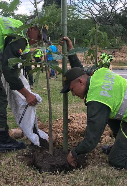 Policía Metropolitana de Bucaramanga tweet media