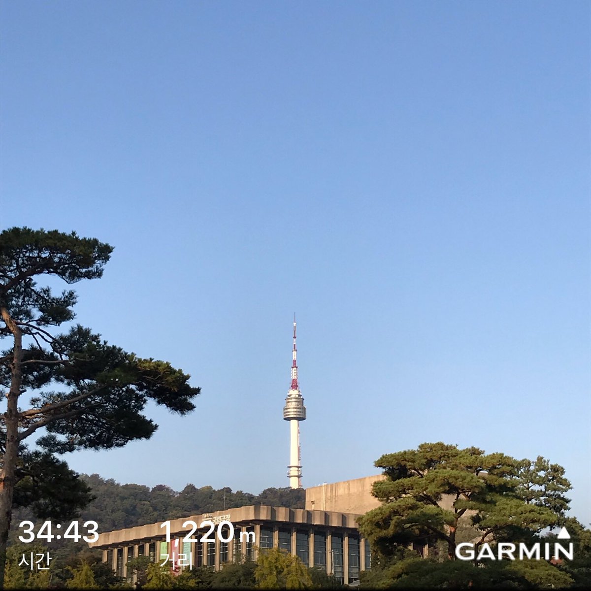 nkimchi's tweet photo. #beatyesterday #garmin #morning swim https://t.co/xVYLWbVIW3