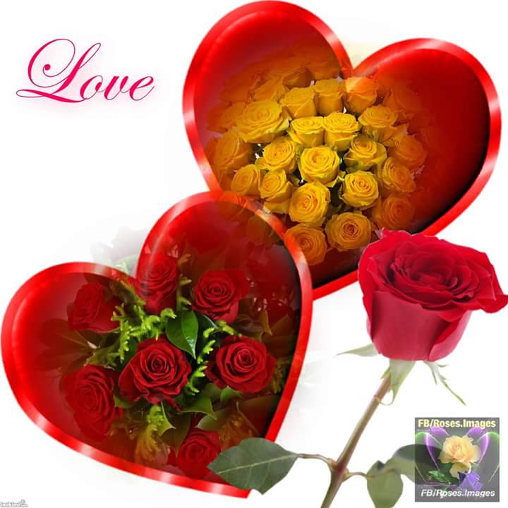 123qazml's tweet photo. https://t.co/NJnj9RdhVk
