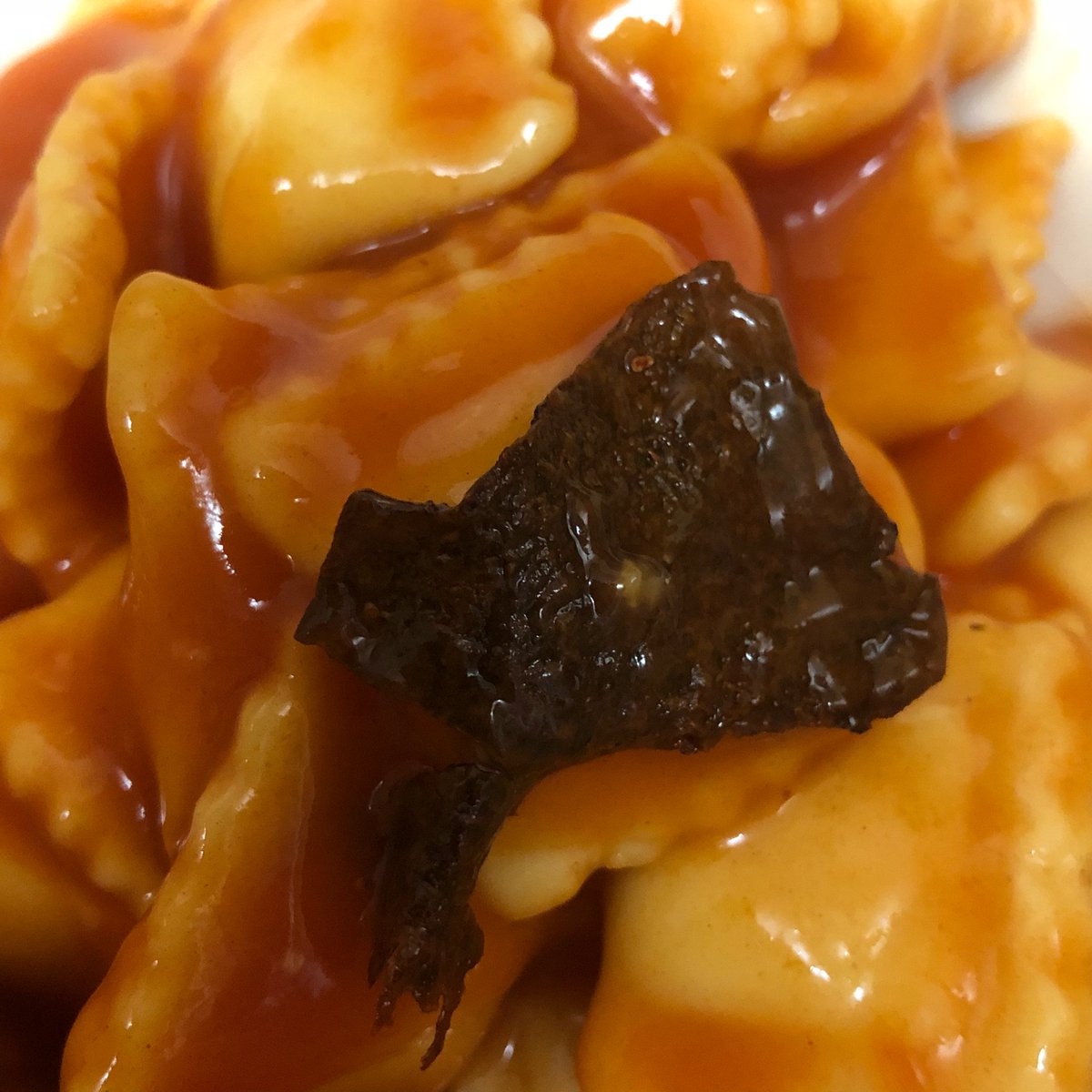 HevKR's tweet photo. @Morrisons my dads just opened a tin a beef ravioli and found this inside. Ain’t a clue what it is! 😷 https://t.co/KF4yPUbwuq