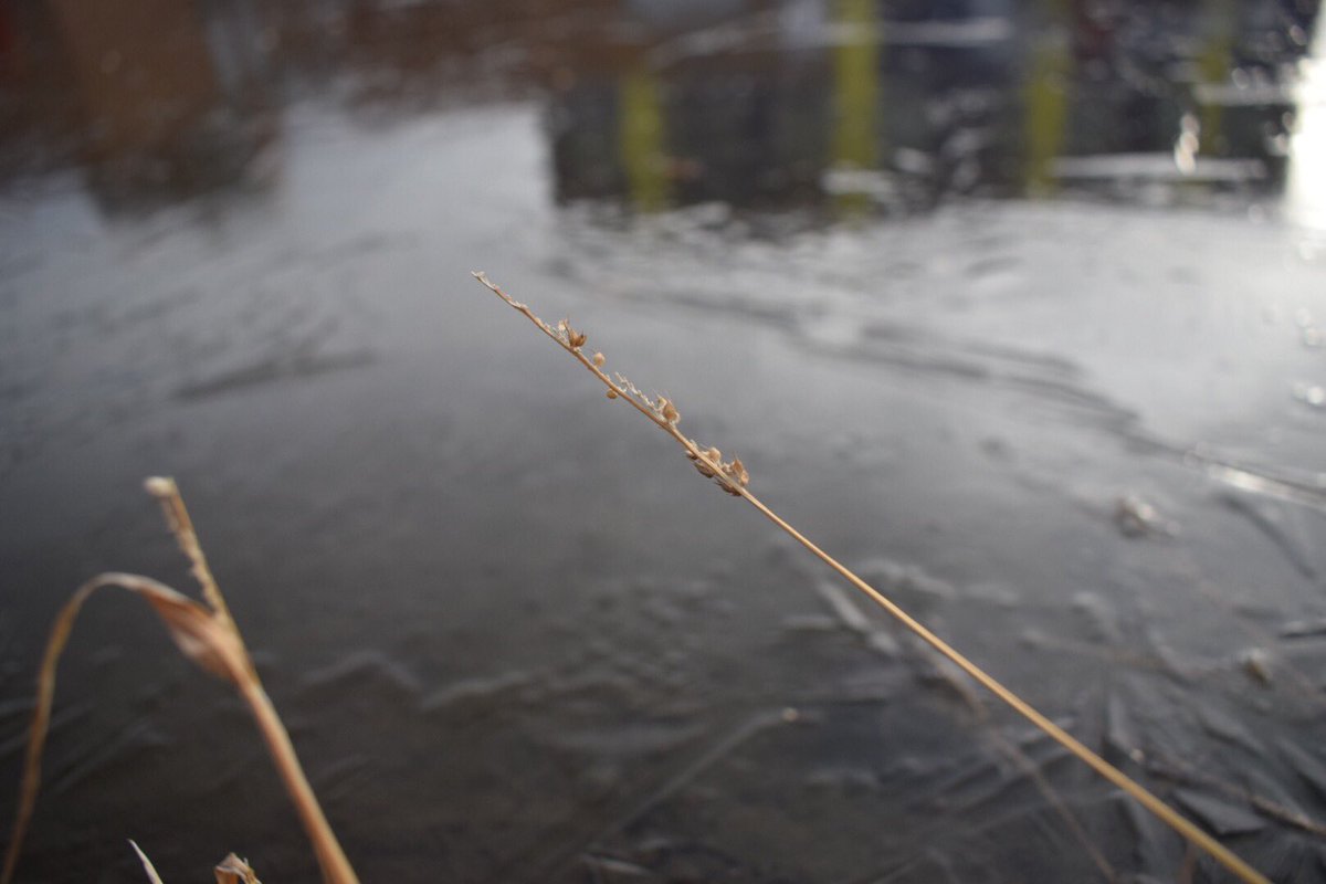 SamC_photo10's tweet photo. Hereβs some pictures I took today for photography class #photo10 https://t.co/Hyoj9tDq43