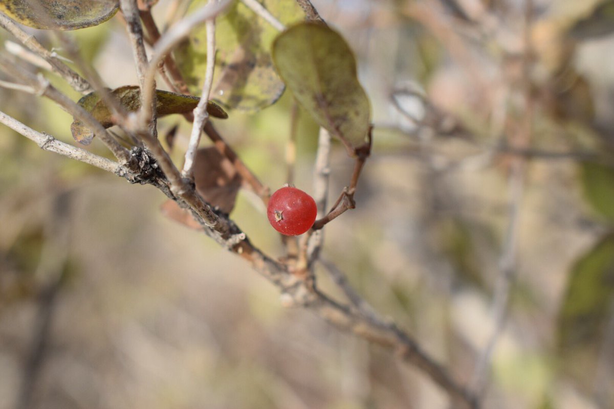 SamC_photo10's tweet photo. Hereβs some pictures I took today for photography class #photo10 https://t.co/Hyoj9tDq43