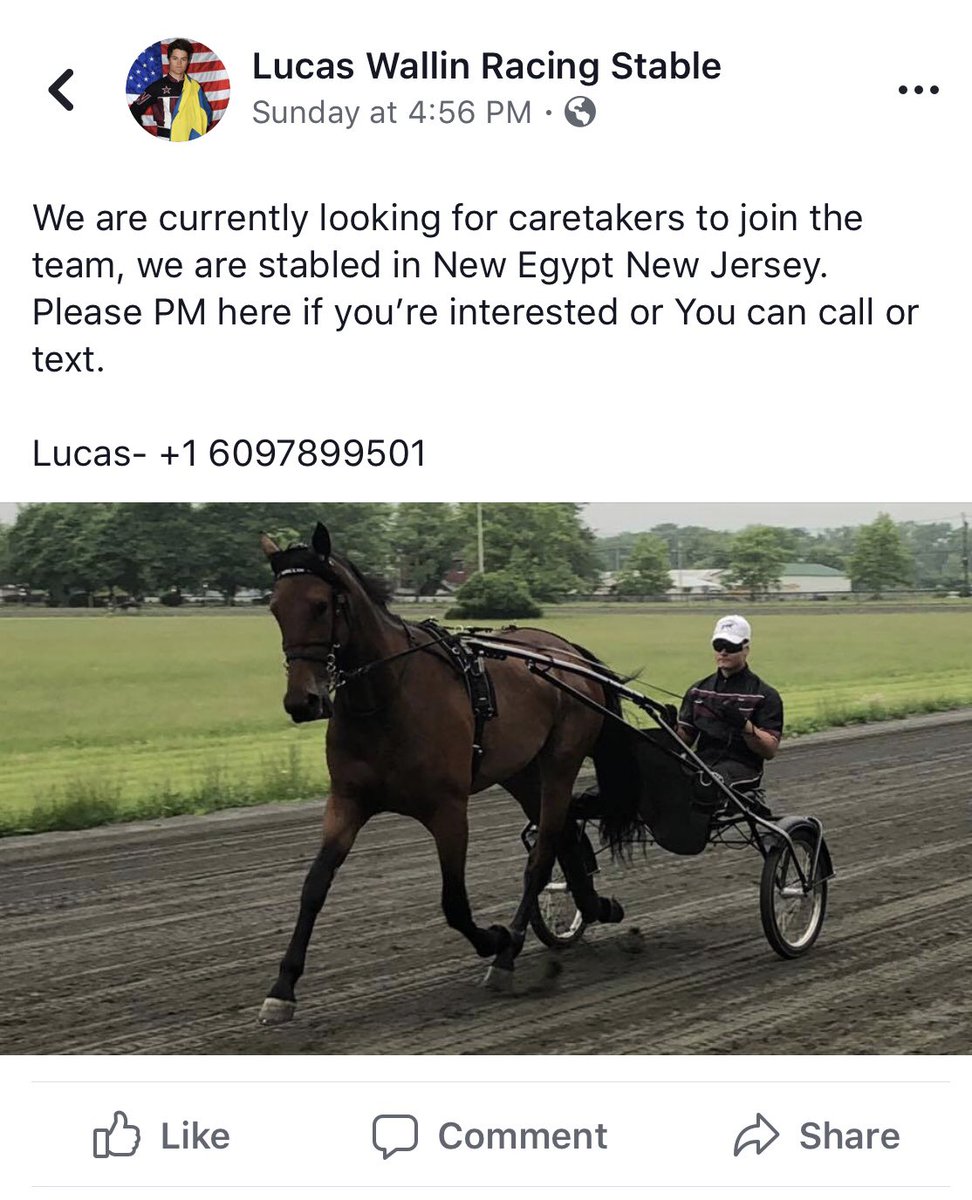 lucas wallin (@wallinlucas) on Twitter photo Looking for grooms please share!! :)
Söker hästskötare till USA dela gärna!!:) Looking for grooms please share!! :)
Söker hästskötare till USA dela gärna!!:)