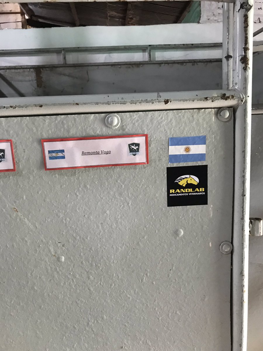 RandlabArg's tweet image. Hoy dia de preparacion para el "Concurso completo de Equitacion" en Campo de Mayo.
Estara en juego quién participará en los próximos JUEGOS PANAMERICANOS LIMA 2019.

Desde RANDLAB acompañamos y apoyamos a Equipo Nacional !!