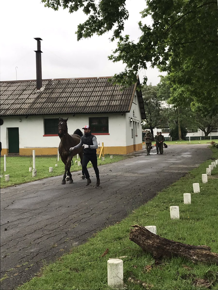 RandlabArg's tweet image. Hoy dia de preparacion para el "Concurso completo de Equitacion" en Campo de Mayo.
Estara en juego quién participará en los próximos JUEGOS PANAMERICANOS LIMA 2019.

Desde RANDLAB acompañamos y apoyamos a Equipo Nacional !!