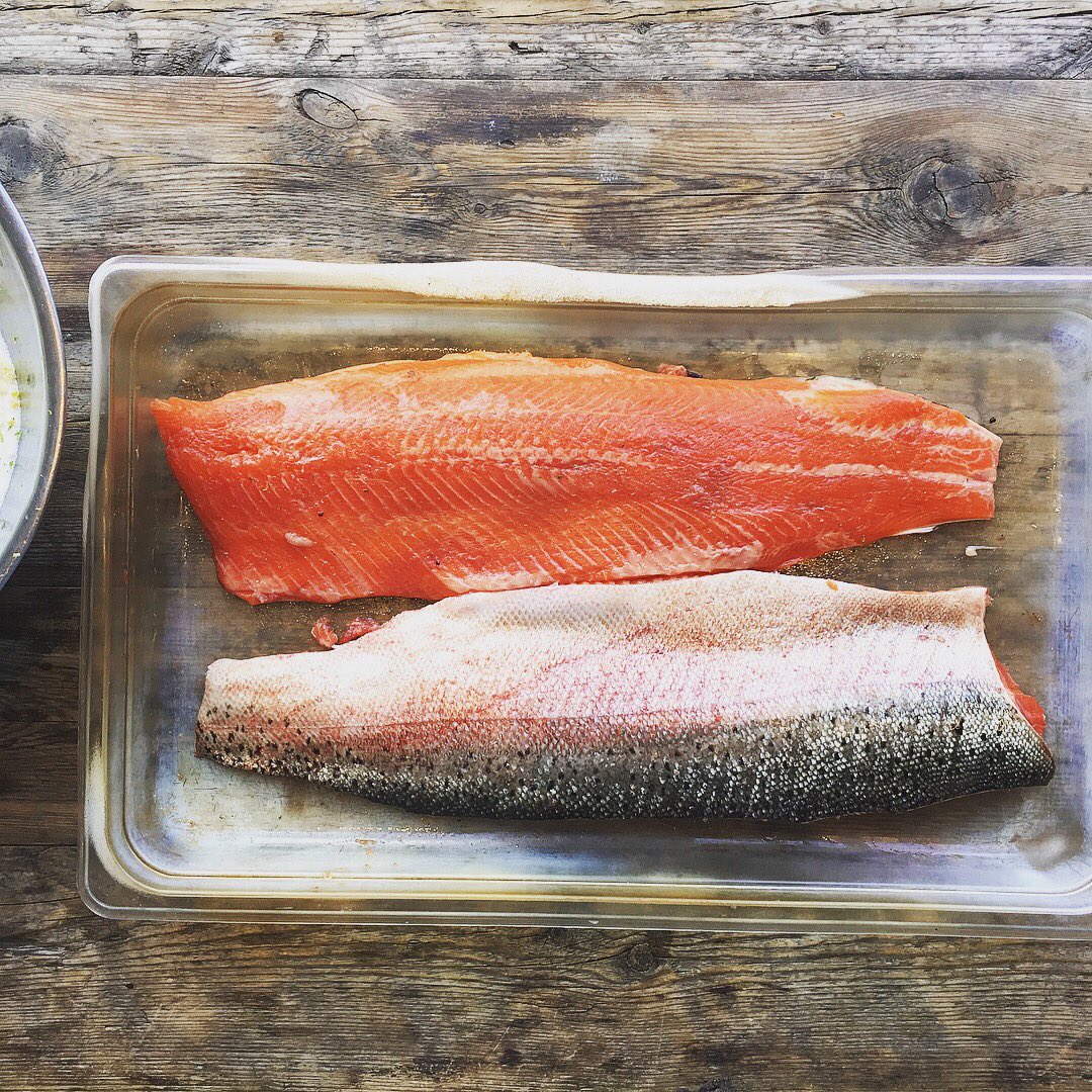 Lamberts_Balham's tweet image. October’s flavours are hitting the spot! Rainbow trout, hanger steak, ham hock terrine, roast plums &amp;amp; pears. Which will you choose? #octobermenu #eattheseasons #Balham #spoiltforchoice