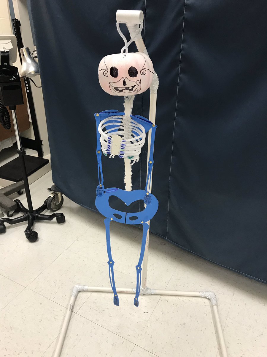 wardHS12's tweet photo. Honors Health Science 1 students displaying their skeleton projects #nhcscte https://t.co/h8Cm083hHP